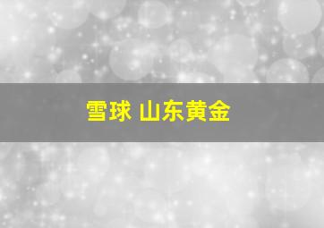 雪球 山东黄金